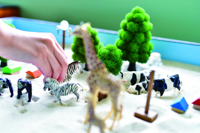 臨床心理学研究科